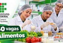 Inscrições abertas para 40 vagas em curso técnico gratuito no IFRO até 25 de outubro