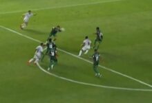Ex-árbitros divergem sobre pênalti em lance controverso entre Santos e Palmeiras
