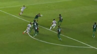 Ex-árbitros divergem sobre pênalti em lance controverso entre Santos e Palmeiras