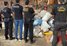 Polícia Federal incinera 1.314 kg de drogas em Rondônia nesta sexta-feira
