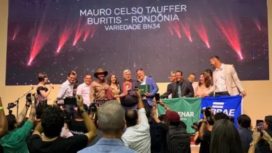 Rondônia conquista sete finalistas no VIII Concurso Nacional de Cacau Especial
