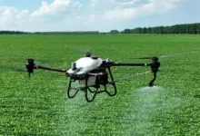 Uso de drones na agricultura de Rondônia eleva riscos à biodiversidade e abelhas
