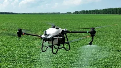 Uso de drones na agricultura de Rondônia eleva riscos à biodiversidade e abelhas